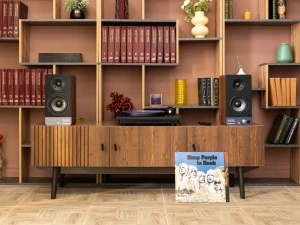 Radiotehnika S-20NA Walnut
