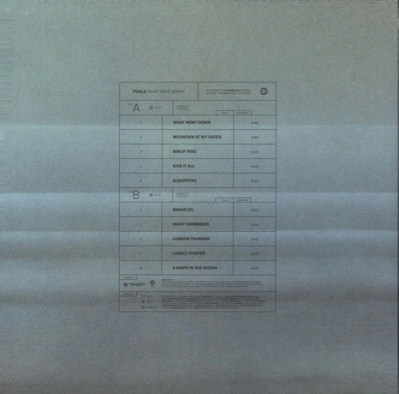 What Went Down (10th Anniversary Embossed Cover Coke Clear Green & Black Smoke Marbled Vinyl)