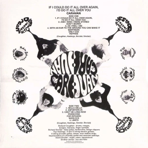 If I Could Do It All Again I'd Do It All Over You