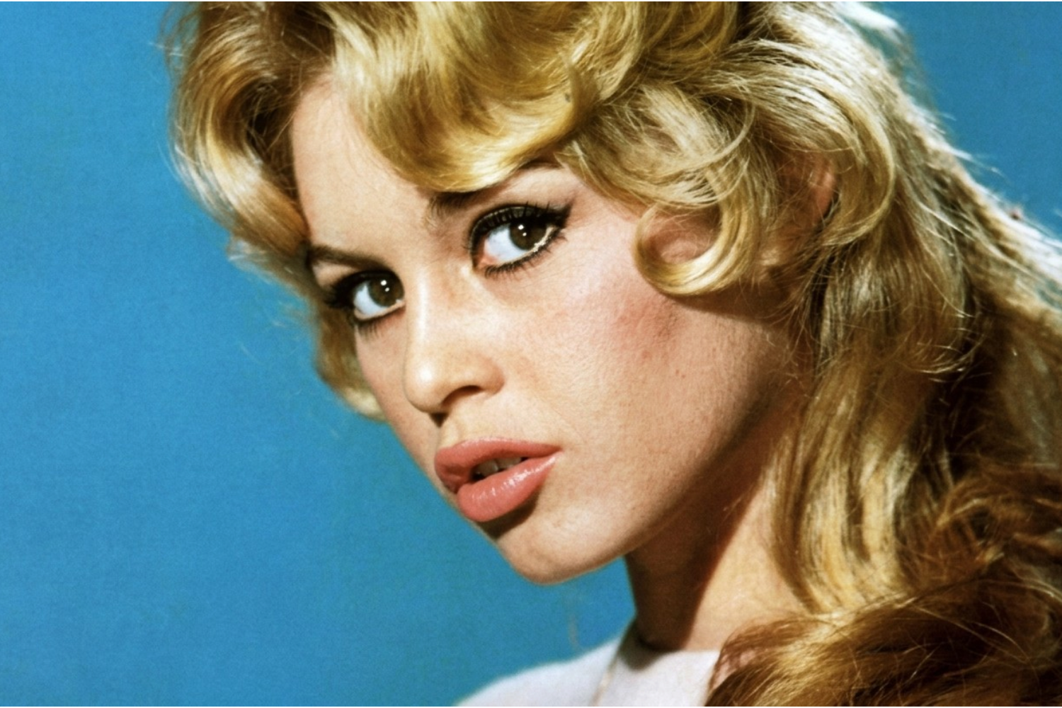 Brigitte Bardot