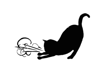 Asthmatic Kitty Records