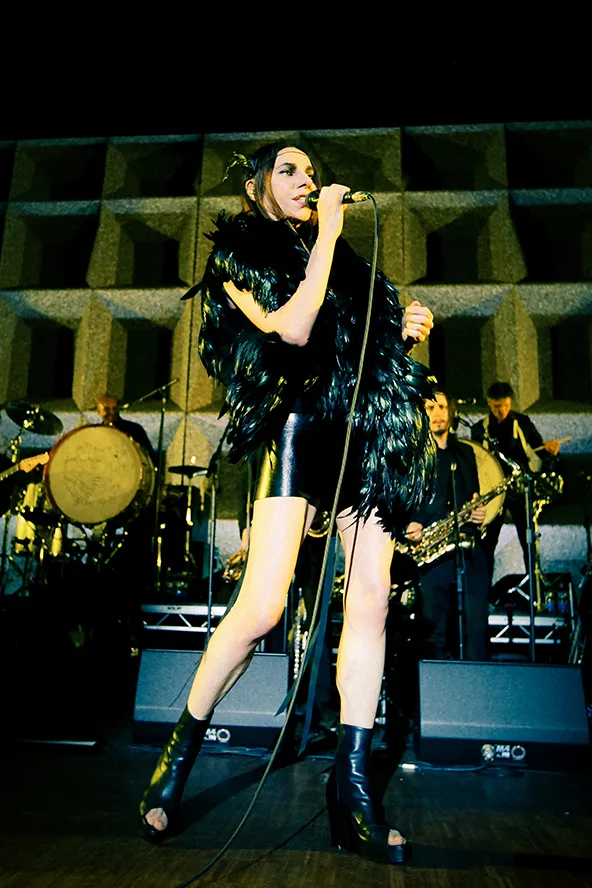 PJ Harvey