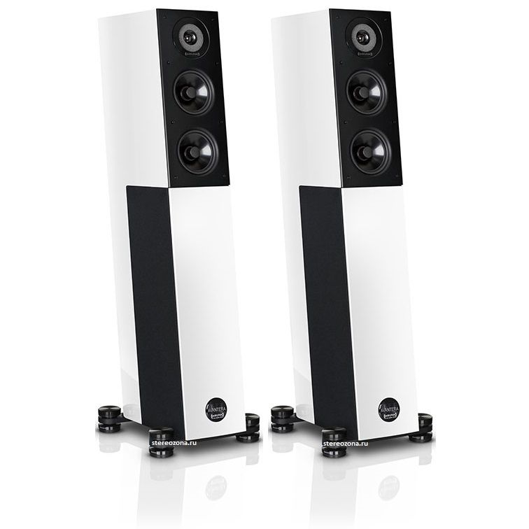 

Напольные колонки Audio Physic, AVANTERA III White high gloss