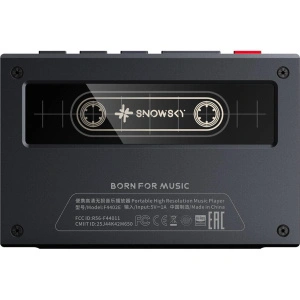 FiiO Snowsky Echo Black