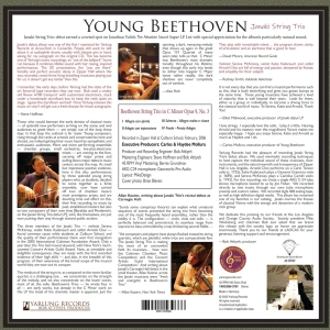 Young Beethoven