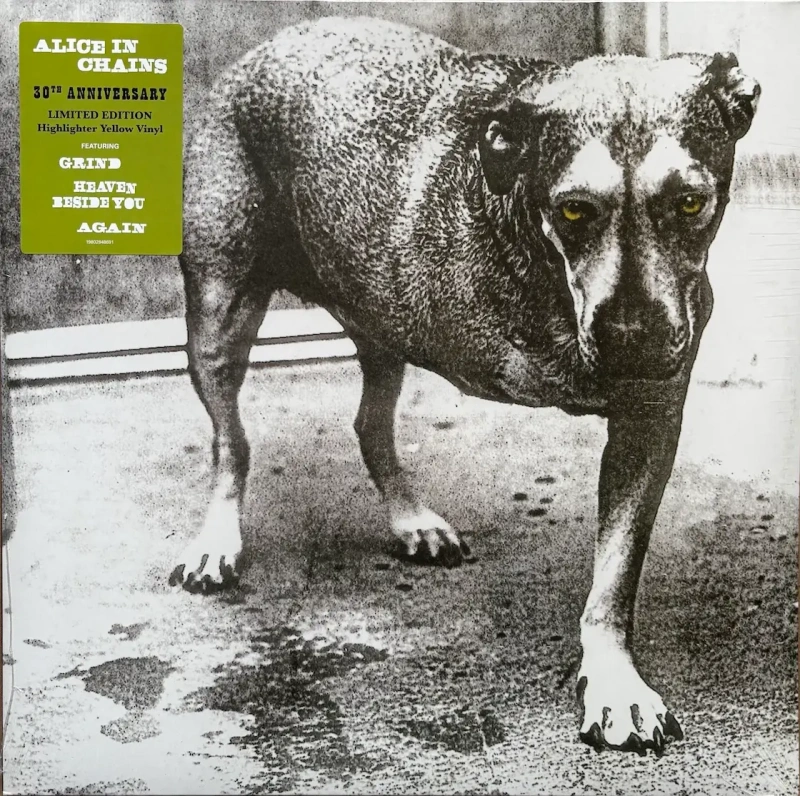 Alice In Chains (30th Anniversary Highlighter Yellow Vinyl)