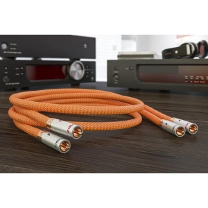 Ricable Dedalus Signal RCA 2 x 0,5 m