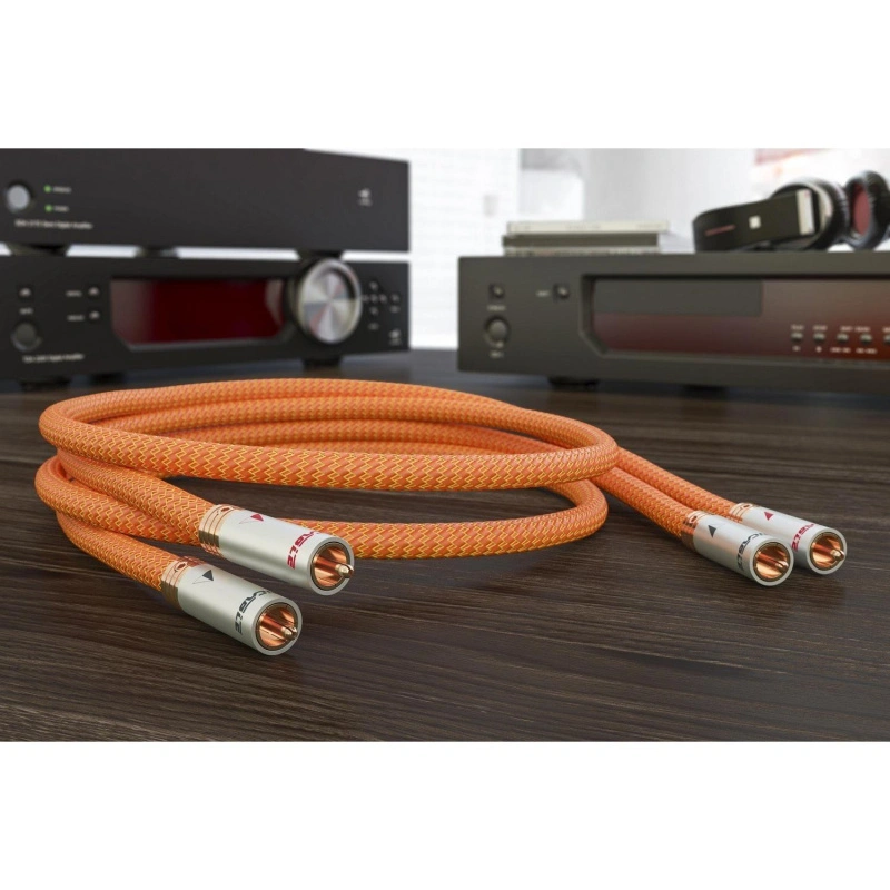 Ricable Dedalus Signal RCA 2 x  3 m
