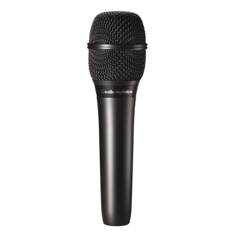 Audio-Technica AT2010