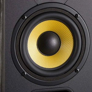 Davis Acoustics Ariane 1 Light Oak