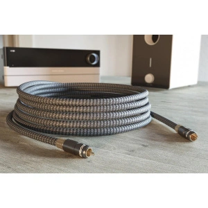 Ricable Magnus Subwoofer 2 m