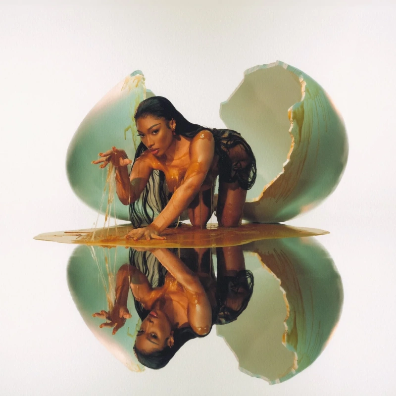 Megan (Opaque Metallic Silver Vinyl)
