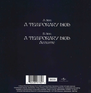 A Temporary High (Eucalyptus Green Vinyl)