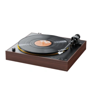 FIIO TT11 (F6001T) Brown