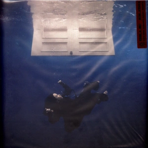 Hit Me Hard And Soft (Sea Blue Vinyl)