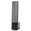 Martin Logan Expression ESL 13A Desert Silver