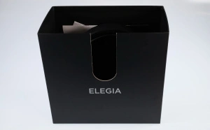 Focal ELEGIA