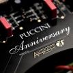 Audio Analogue Puccini Anniversary silver