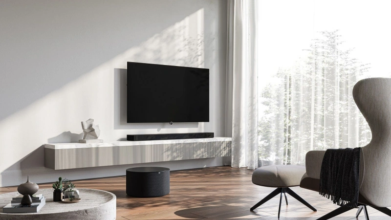 LOEWE BILD I 55 OLED