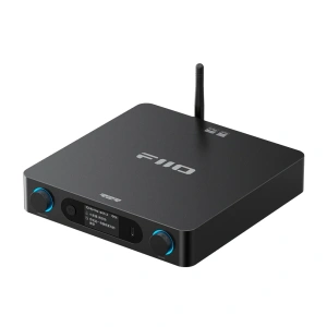 FIIO BR15 R2R (F3132B) Black