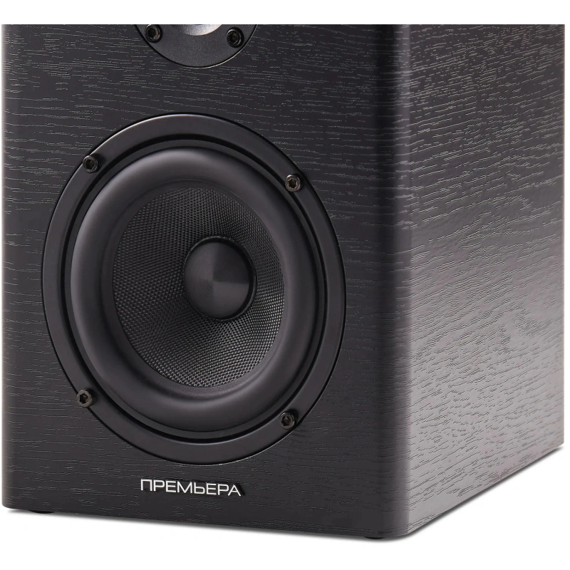 Premiera ES-401A Black