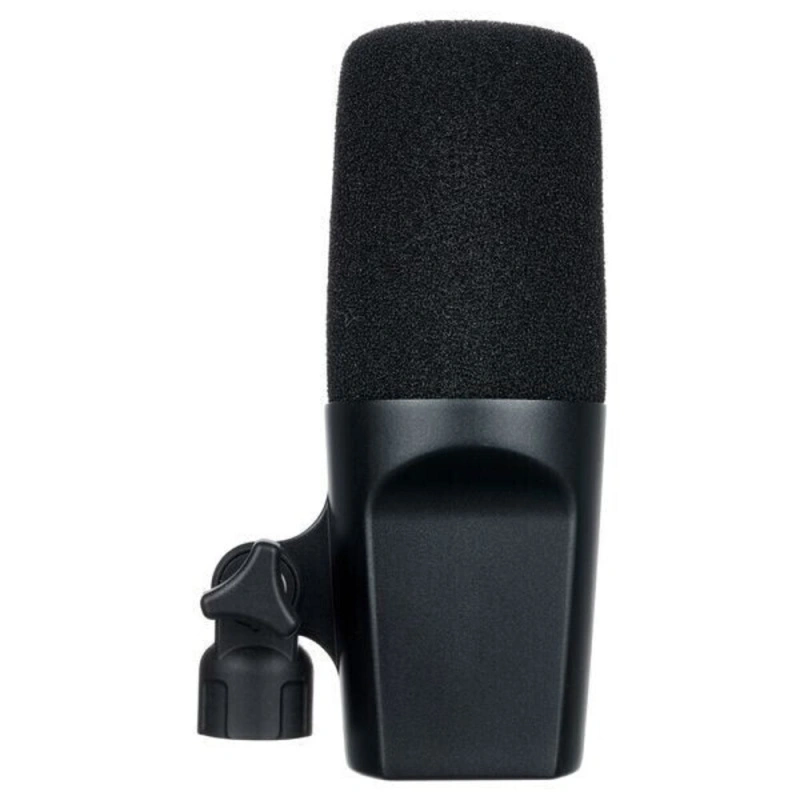 Студийный микрофон SE Electronics DynaCaster DCM 6