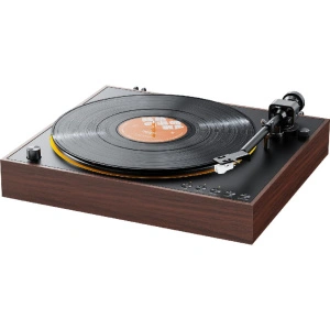FIIO TT11 (F6001T) Brown