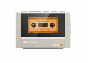 FIIO SNOWSKY ECHO MINI (F4401E) Titanium gold