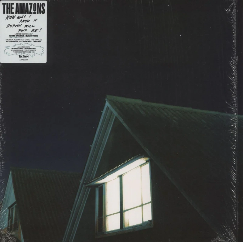 How Will I Know If Heaven Will Find Me? (White Sparkle / Black Vinyl)