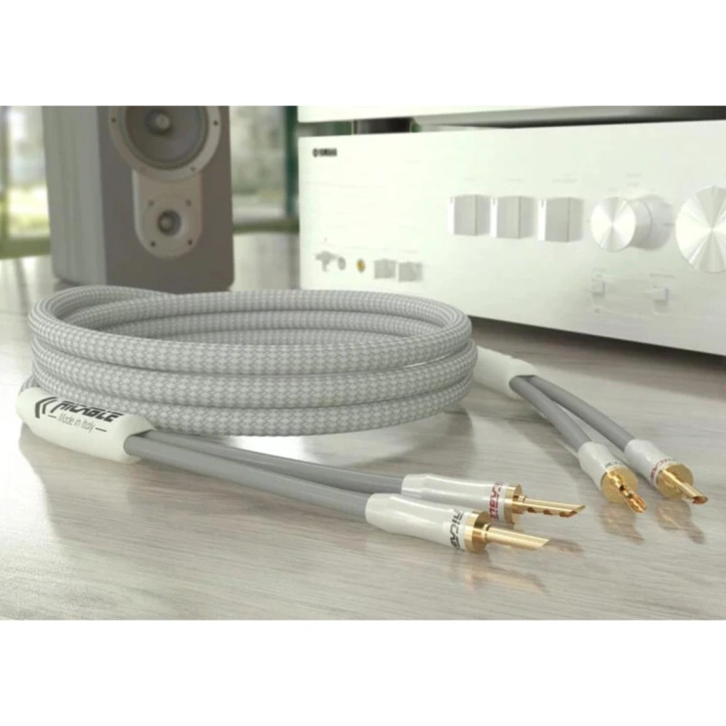 Ricable Primus Speaker MKII 2 x 2 m