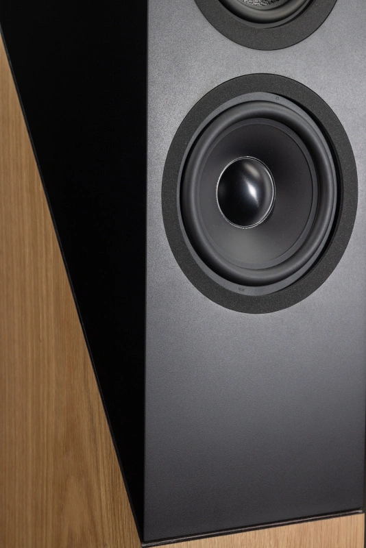 Davis Acoustics The Pledge Light Oak