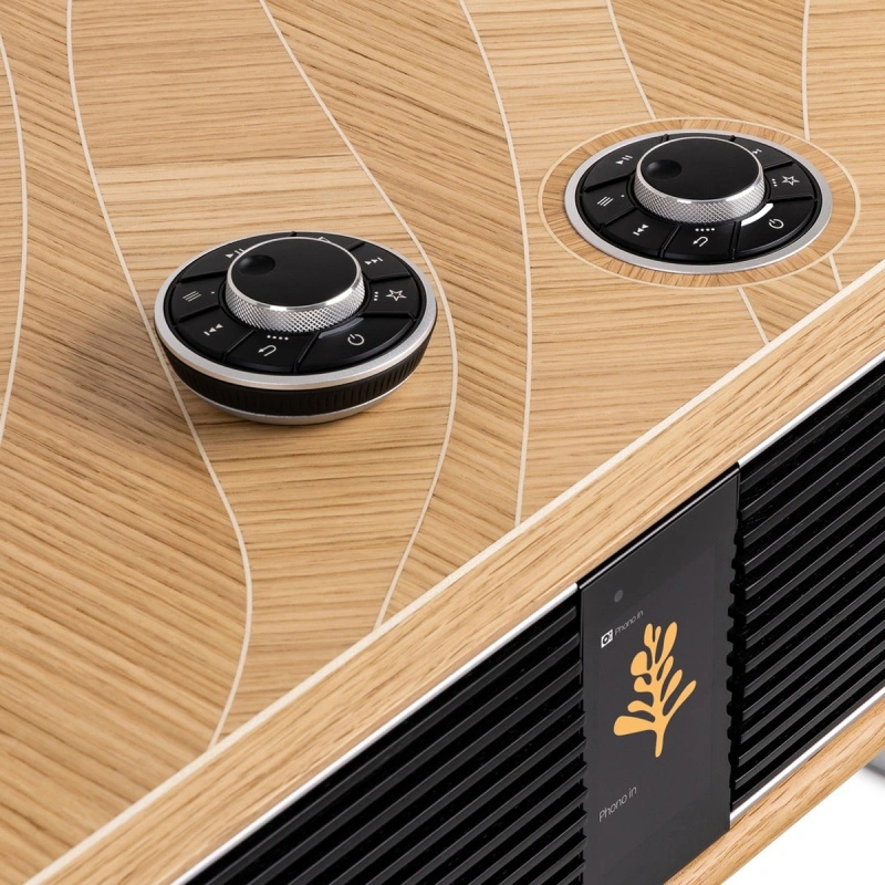 Ruark Audio R810 MiE Leaf-Line Oak