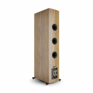DALI Rubikore 8 Natural Walnut