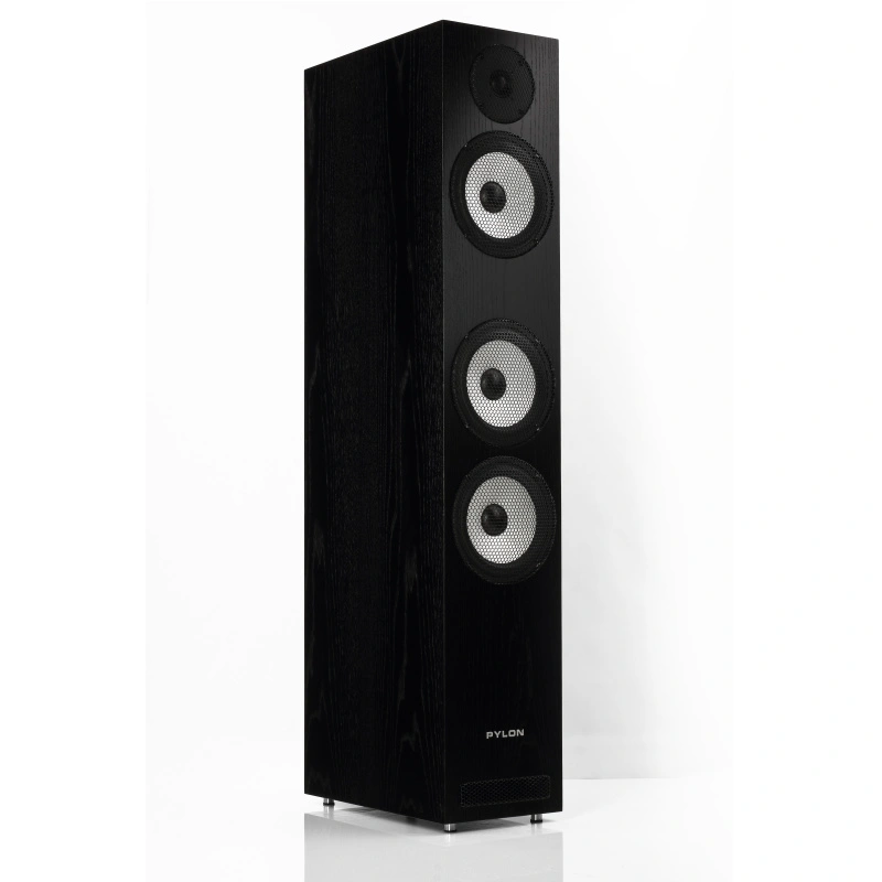 Pylon Audio Ruby 30 Natural Veneer OAK Lacquer Black