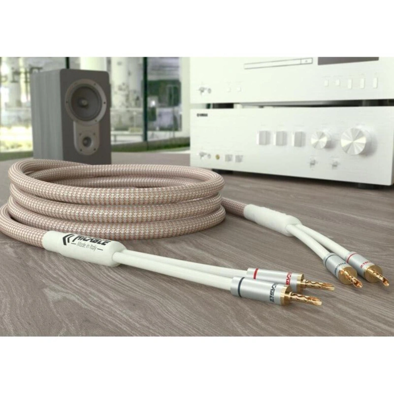 Ricable Dedalus Elite Speaker 2 x 2 m