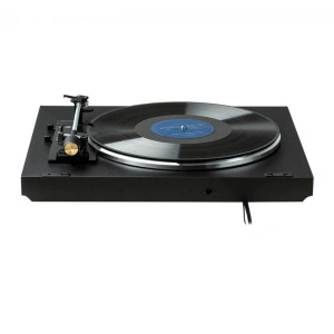 Rekkord Audio F100 P Black