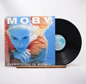Everything Is Wrong