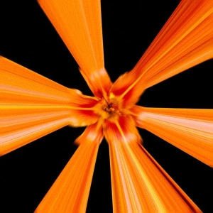 Потеплело (Propeller Orange & Black Vinyl)