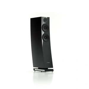 Pylon Audio Jasper 25 MK II Black HG