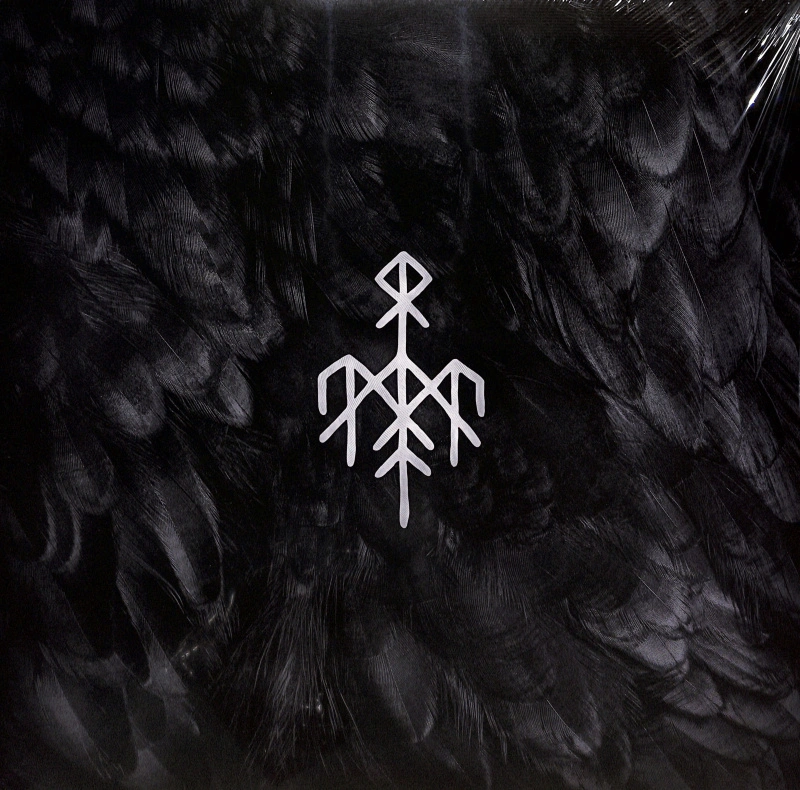 Kvitravn