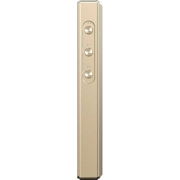 FiiO M21 Titanium Gold
