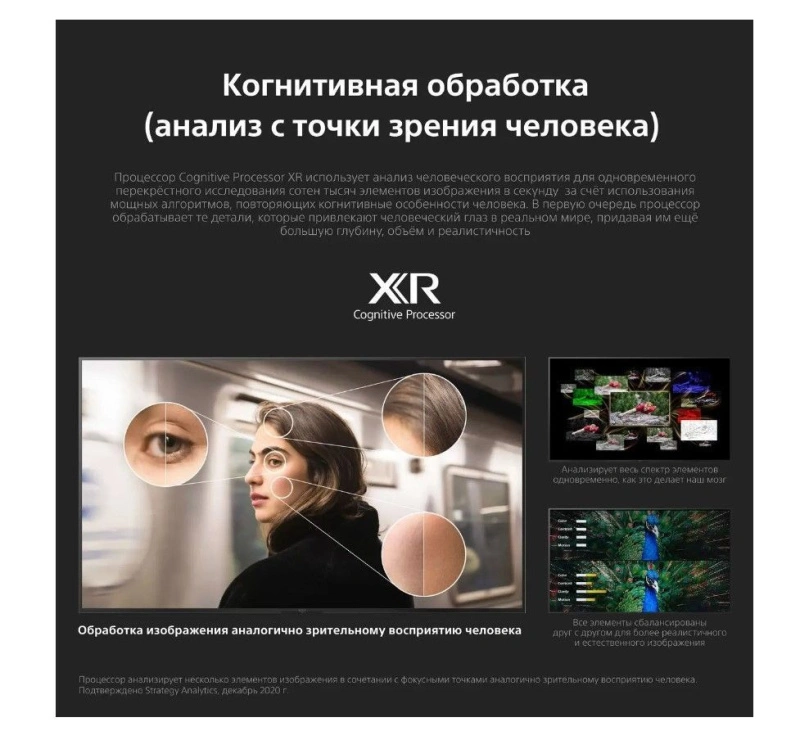 Sony XR55A80J