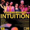 Intuition