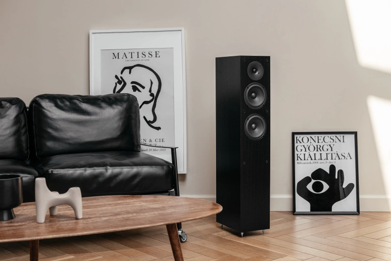 Radiotehnika Gamma 3.02 Black Ash
