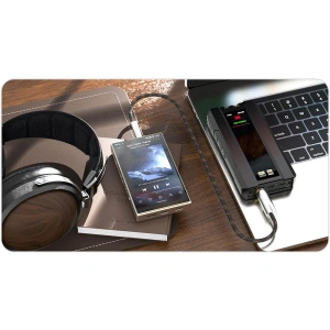 FiiO M21 Titanium Gold