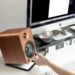 Kanto Audio YU4 Walnut