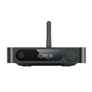 FiiO SR11 (F3081S) Black