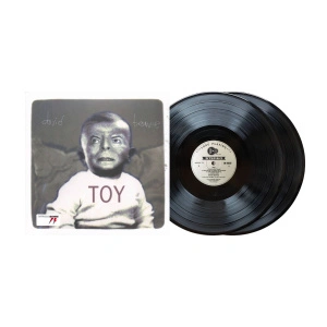 Toy