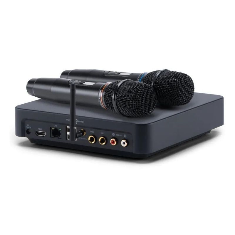Комплект для караоке Evolution EVOBOX PLUS с микрофонами и саундбаром