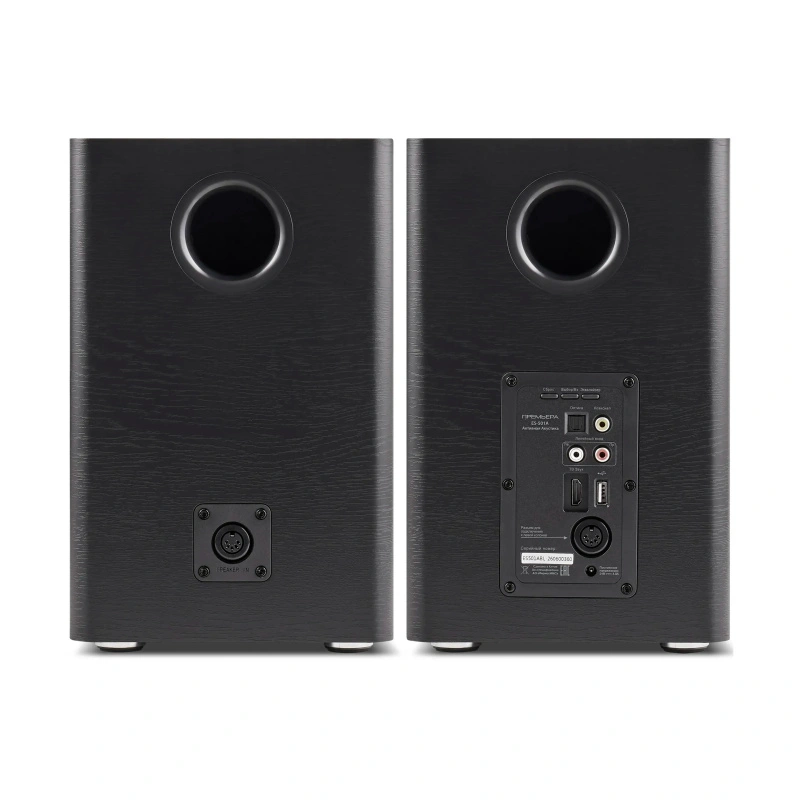 Premiera ES-501A Black